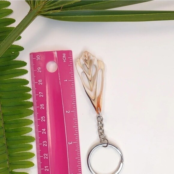 Seashell Keyring Slice Conch Seashell Clearwater Beach, Florida - Picture 4 of 15